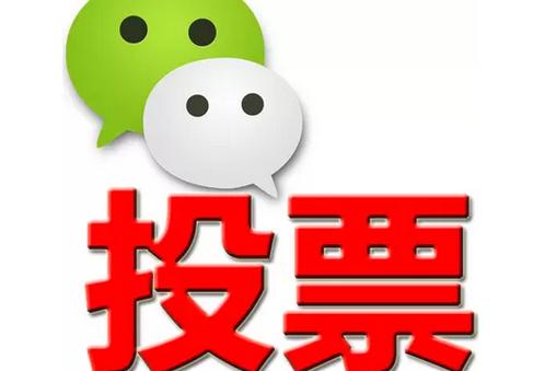 大同市微信投票功能开发 上传图片投票